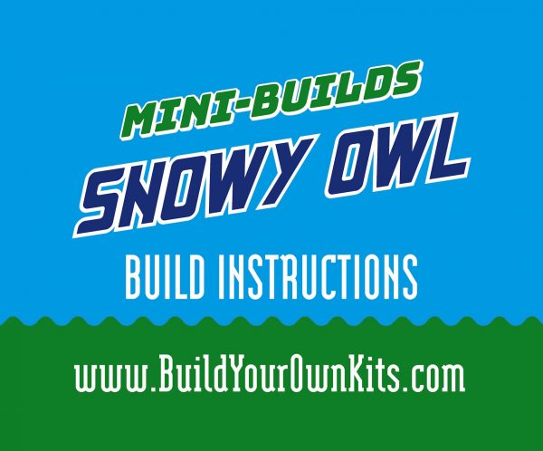 Snowy Owl Video Instrcutions.00_00_03_15.Still001